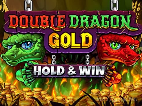 Double Dragon Gold_ Hold and Win